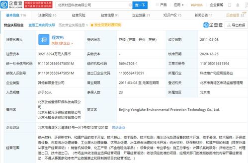 技术转让 驱动创新的桥梁与策略考量
