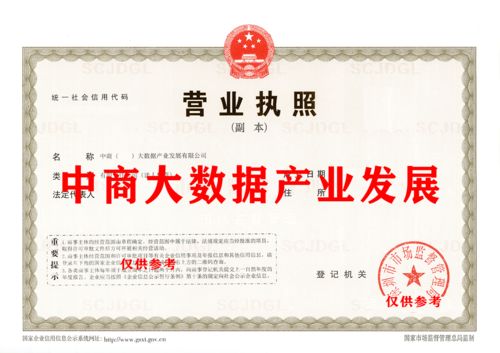 大数据产业公司技术转让 机遇、流程与关键考量